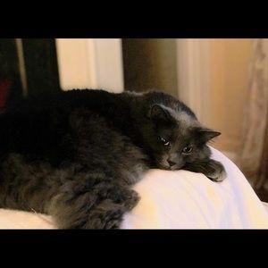 Meet your Posher, Ina